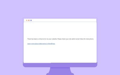 WordPress: Es gab einen kritischen Fehler auf deiner Website. Was nun?