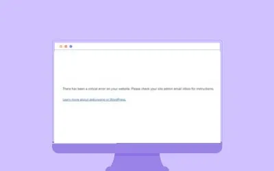WordPress: Es gab einen kritischen Fehler auf deiner Website. Was nun?