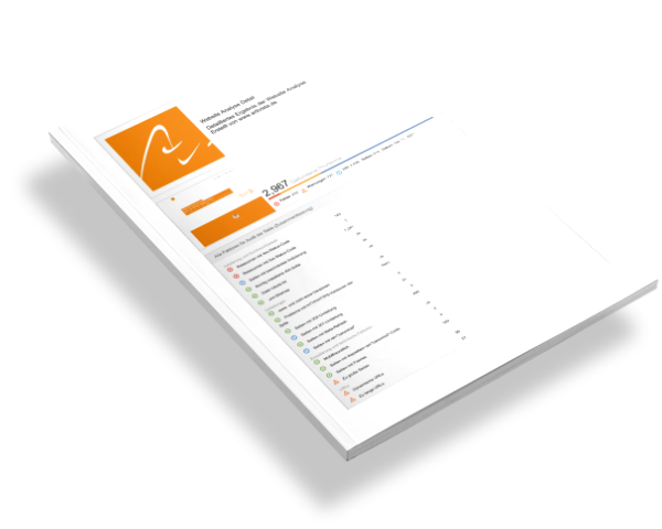website audit handout web
